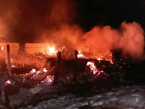 С начала года на пожарах в Брянской области погибло 29 человек