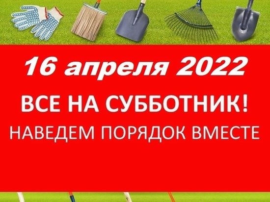 Стало известно, когда пройдет массовый субботник в Оленинском округе Тверской области