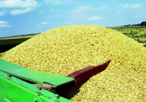 Минсельхоз и Минпроторг предложили ограничить экспорт зерновых с 15 марта и по 30 июня