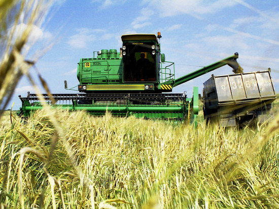 МВФ: события на Украине угрожают глобальной продовольственной безопасности
