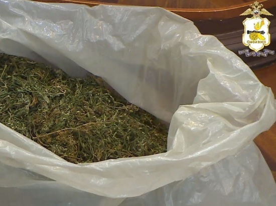 Полицейские изъяли у 18-летнего смолянина около 850 грамм марихуаны