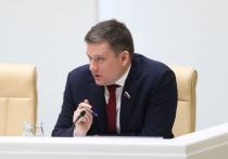 Совфед опроверг заявление своего же коллеги, сенатора Ольги Ковитиди, о возможном пересмотре взыскания за незаконную торговлю валютой