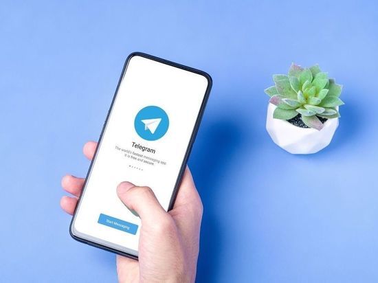 ТОП-10 Telegram-каналов, чтобы быть в курсе событий Ленобласти