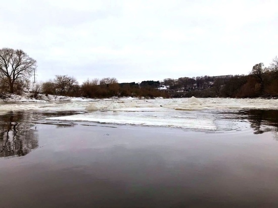 Инфорг отряда «Сальвар» в Смоленске: самое страшное - заявка о пропаже ребенка