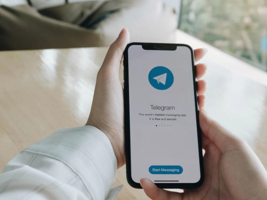 Популярные Telegram-каналы, которые расскажут о жизни в Ленобласти
