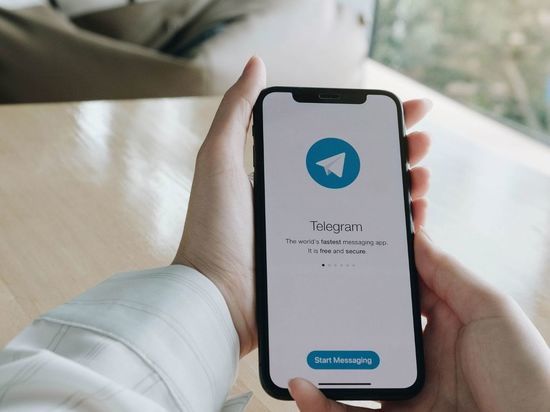 Топ-10 информативных Telegram-каналов о Ленинградской области
