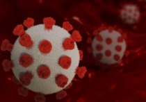 В Забайкалье за последние сутки выявлено 579 новых случаев заражения коронавирусом