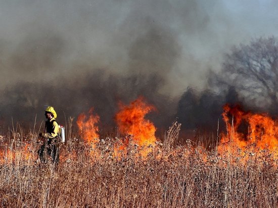 Кузбасские власти введут особый противопожарный режим уже с 15 апреля 2022 года