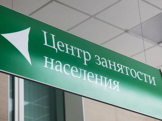 5 тысяч владимирцев ищут для себя работу