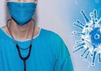 Грозящий распространением в России новый штамм коронавируса «стелс-омикрон» опасен не больше, чем его предшественник «омикрон»