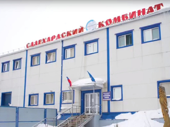 Салехардский комбинат в условиях санкций начнет кормить северян рыбными котлетами