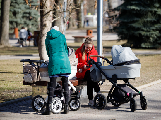 Псковский губернатор освободил многодетных и семьи с детьми-инвалидами от транспортного налога