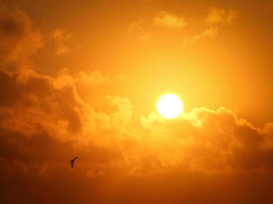 «Солнца будет много»: петербуржцам рассказали о погоде на ближайшую неделю