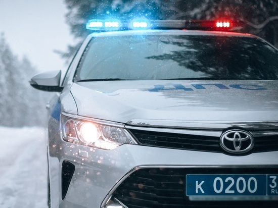 Полиция просит откликнуться очевидцев смертельного ДТП в Дятьково