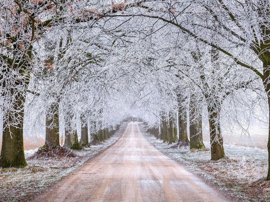 Под Новоазовском отремонтировали автомобильную дорогу