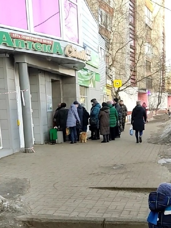 В Ярославле засняли «сахарных маньяков»