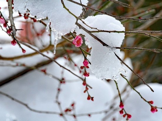 18 марта в Белгородской области будет 11 градусов мороза