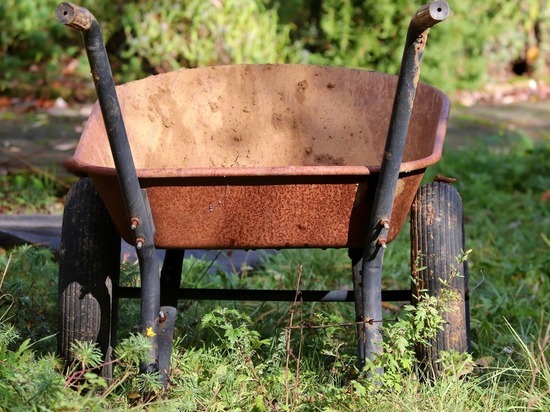 В Смоленском районе похитителей садовой тачки поймали благодаря генетической экспертизе