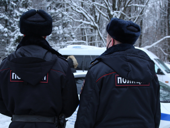 В Подмосковье в кузове грузовика нашли 8 военных беспилотников