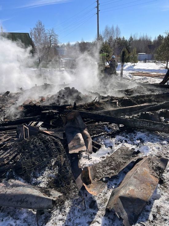 В Пензенской области сгорел частный срубовой дом