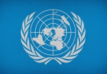 Заместитель генерального секретаря Организации Объединенных Наций, высокий представитель по вопросам разоружения Идзуми Накамицу на заседании Совета Безопасности ООН заявила, что международная организация не может проверить наличие военных биологических программ на Украине, о существовании которых утверждает Россия