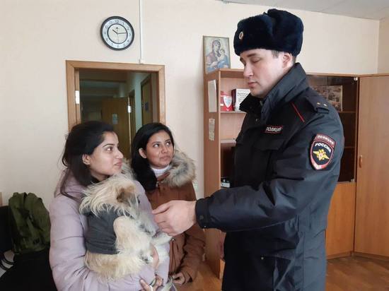 В Курске благополучно завершились поиски пропавшей собаки породы «Пугапу»
