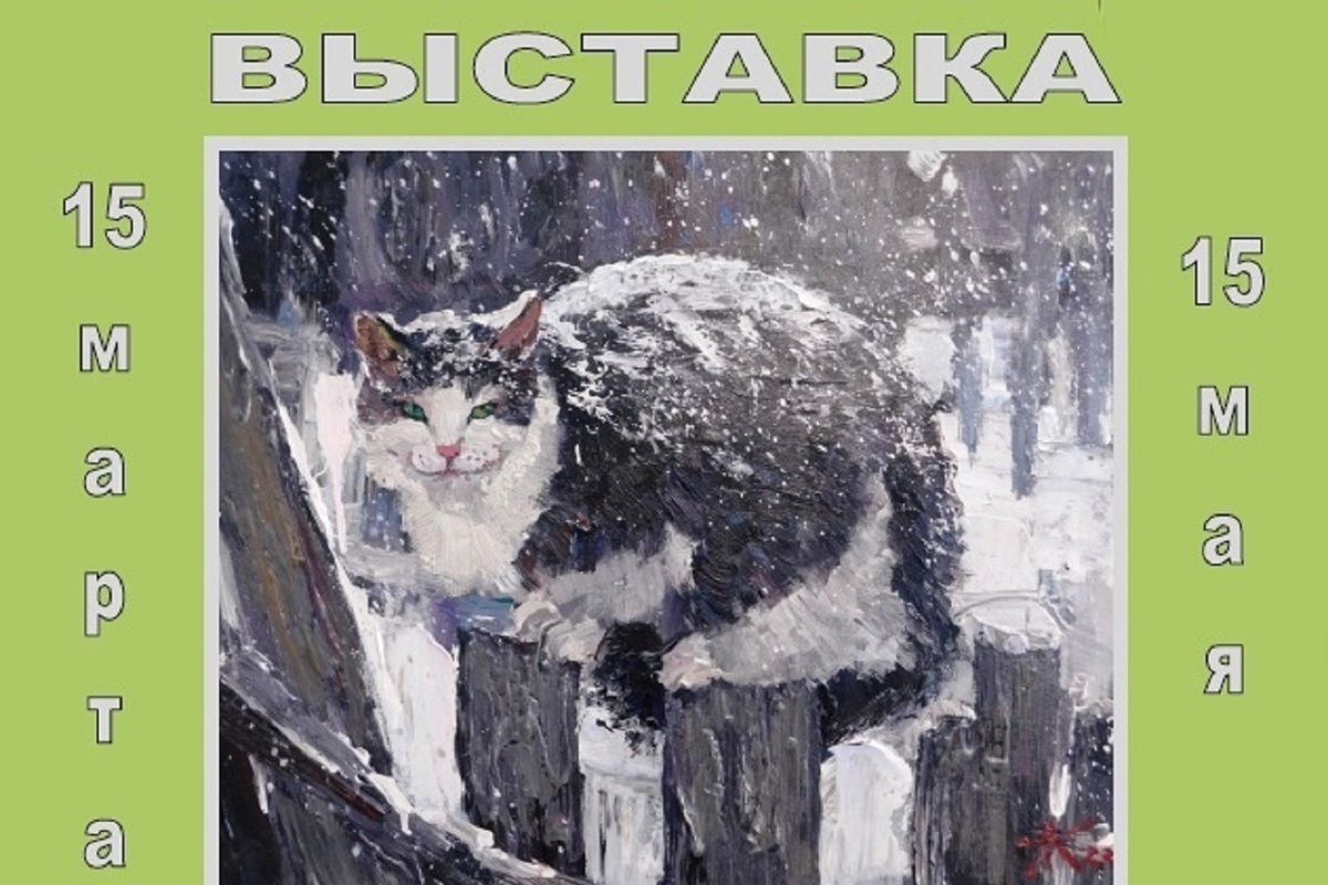 Без кота и жизнь не та: жители Ярославской области организовали выставку кошек