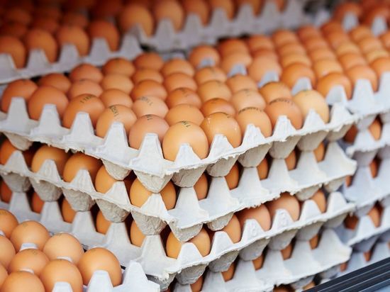 Ощутят ли петербуржцы нехватку яиц и мяса