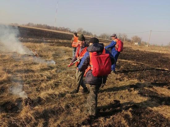 Добровольцы Зеленоградска начнут ликвидацию возгорания сухой травы