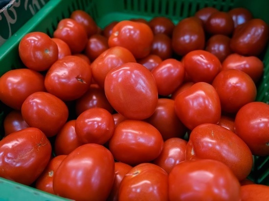 За неделю в Волгоградской области выросли в цене свежие помидоры