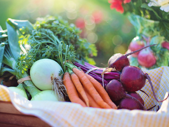 Названы продукты, которыми Новгородчина сама обеспечивает своих жителей