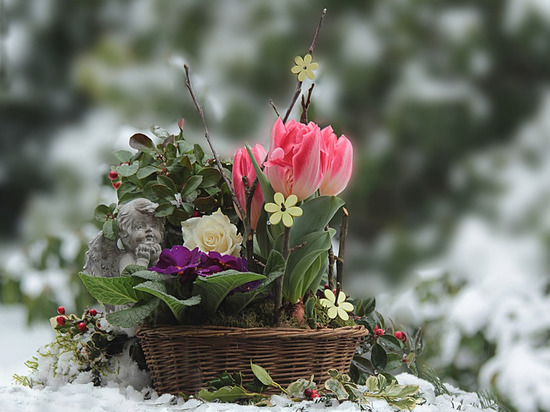 В Смоленскую область приходит настоящая теплая весна