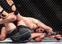 В ночь с 19 на 20 марта в Лондоне (Англия) прошел турнир по смешанным единоборствам UFC Fight Night 204. В главном поединке шоу россиянин Александр Волков встретился с британцем Томом Аспиналлом.
