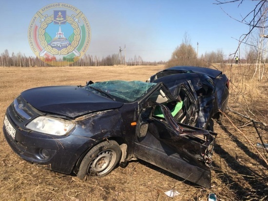 В Брянской области за рулем умерли два водителя