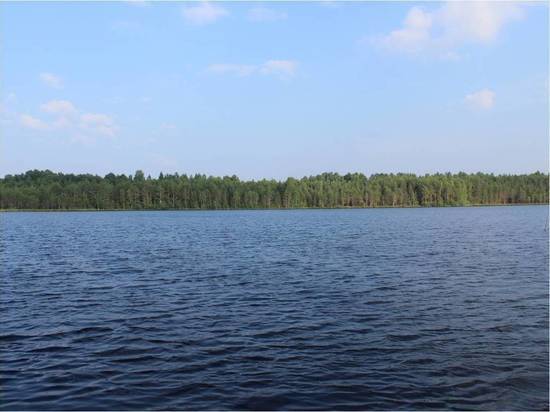 В Тверской области утвердили границы шести особо охраняемых природных территорий