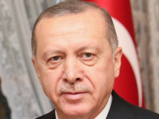 У Эрдогана подтвердили его участие в саммите НАТО 24 марта