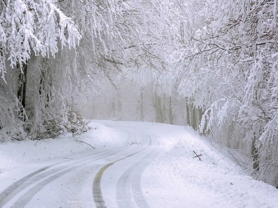 Синоптики спрогнозировали похолодание до -10 и снег на грядущей неделе в Мурманской области
