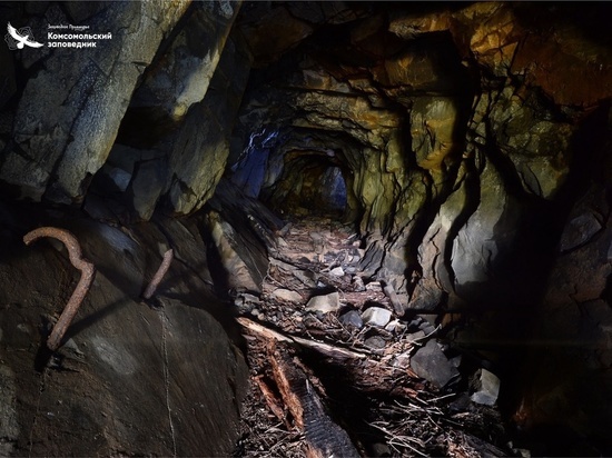 Нога человека здесь не ступала давно, зато природа хозяйничает по полной