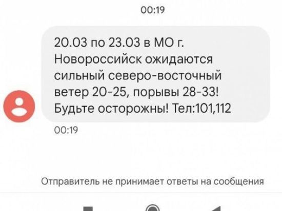 Новосибирцы получили СМС о ветре до 33 метров в секунду