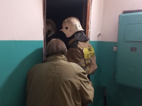 Барнаульские пожарные спасли трех человек из горящего дома