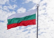 Посол России в Болгарии Элеонора Митрофанова пообещала, что РФ ответит на высылку десяти дипломатов из Софии, причем не обязательно симметричными действиями