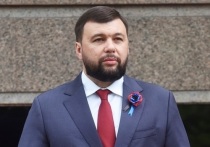 Глава Донецкой Народной Республики Денис Пушилин высказал точку зрения, что взятие Мариуполя под контроль представляет собой "не вопрос двух-трех дней и даже недели"