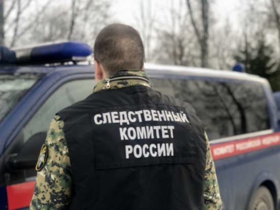 После гибели на пожаре в Мошенском районе 83-летнего дедушки следователи организовали проверку