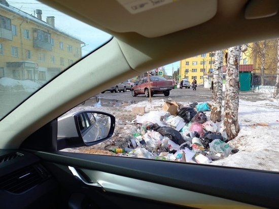 В городе Карелии мусорные контейнеры перенесли, но жители проигнорировали это
