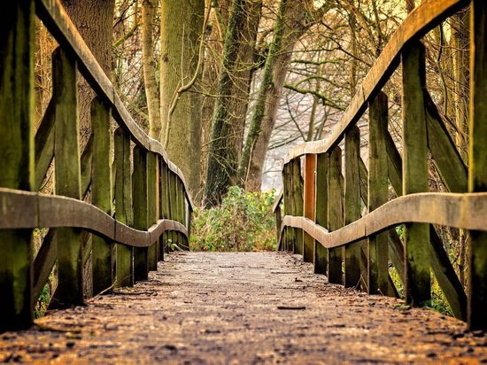 По требованию прокуратуры в Хабаровском крае отремонтировали мост