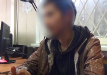 В республике Алтай завершили расследование уголовного дела против 21-летнего жителя Кемеровской области, который с топором и перцовым баллончиков напал на пограничника, пытаясь незаконно проникнуть в Казахстан