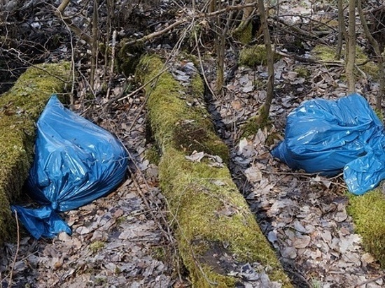 В Омске после вмешательства прокуратуры ликвидировали ещё одну незаконную свалку