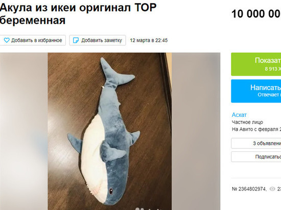 Беременную акулу из IKEA продают в Новосибирске за 10 миллионов