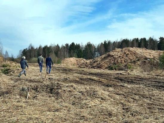  Во Владимирской области наказали компанию незаконно добывающую песок