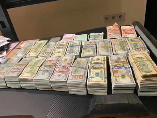 Беглого владельца криптовалютной биржи задержали в Серпухове